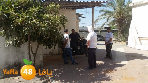 dahmashasudwq (18).jpg